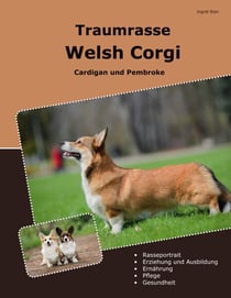 Traumrasse Welsh Corgi - Cardigan und Pembroke