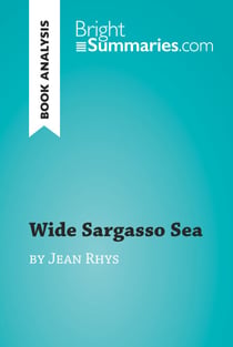 Wide Sargasso Sea by Jean Rhys (Book Analysis) - Detailed Summary, Analysis and Reading Guide