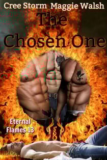 The Chosen One Eternal Flames 13