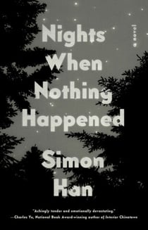 Nights When Nothing Happened - A Novel