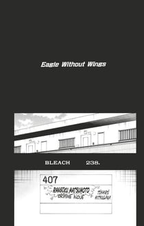 Bleach - T27 - Chapitre 238 - Eagle Without Wings