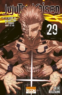 Jujutsu Kaisen T29