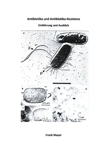 Antibiotika und Antibiotika-Resistenz - Einführung und Ausblick