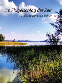 Im Flügelschlag der Zeit - Gedichte
