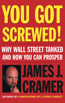 You Got Screwed! - Why Wall Street Tanked and How You Can Prosper