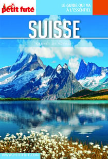 SUISSE 2023 Carnet Petit Futé