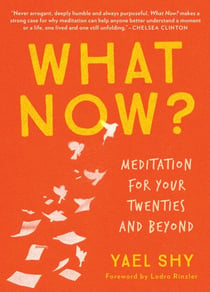 What Now? - Meditation for Your Twenties and Beyond
