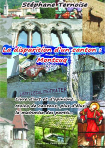 La disparition d'un canton : Montcuq - Livre d'art et d'opinions. Moins de cantons, plus d'élus, la mainmise des partis...