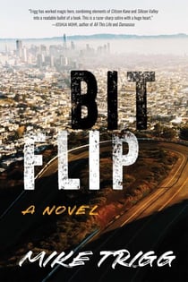 Bit Flip - A Novel