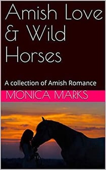 Amish Love &amp; Wild Horses