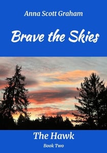 Brave the Skies: The Hawk Book Two - The Hawk, #2
