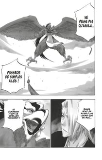 Bleach - T38 - Chapitre 323 - Gloomy, Ghastly and Full of Despair