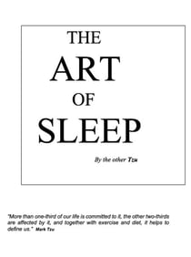 The Art Of Sleep