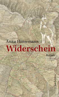 Widerschein - Roman