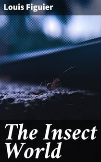 The Insect World - Being a Popular Account of the Orders of Insects; Together with a Description of the Habits and Economy of Some of the Most Interesting Species