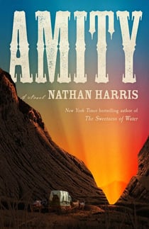 AMITY - from the Booker-longlisted author of The Sweetness of Water