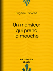 Un monsieur qui prend la mouche