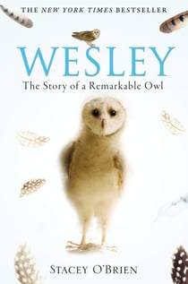 Wesley - The Story of a Remarkable Owl