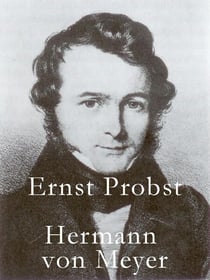 Hermann von Meyer