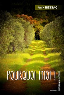 Pourquoi moi ! - Roman