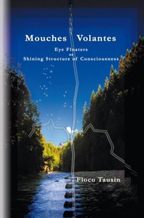 Mouches Volantes - Eye Floaters as Shining Structure of Consciousness