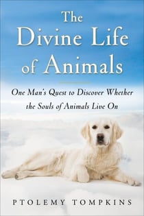 The Divine Life of Animals - One Man's Quest to Discover Whether the Souls of Animals Live On