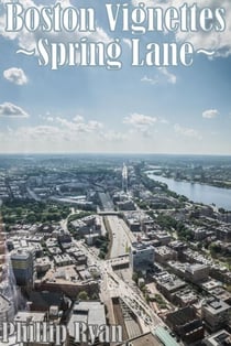 Boston Vignettes - Spring Lane