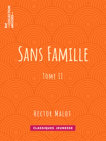 Sans famille - Tome II