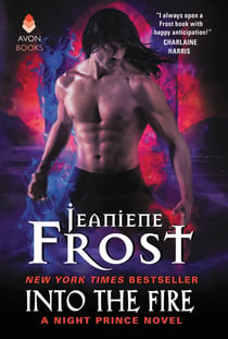 Into the Fire - A Night Prince Novel