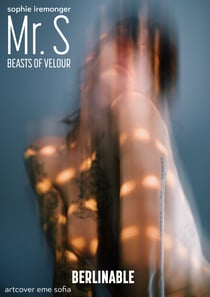 Mr. S - Beasts of Velour