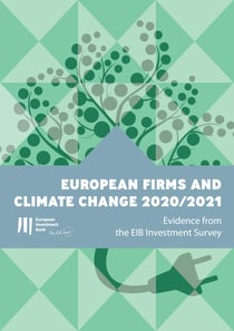 European firms and climate change 2020/2021 - Evidence from the EIB Investment Survey