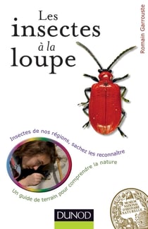 Les insectes à la loupe - un guide de terrain pour découvrir la nature