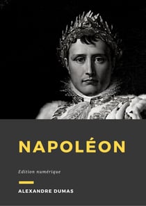 Napoléon - Roman historique