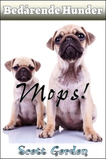 Bedårende Hunder: Mops - Bedårende Hunder