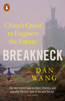 Breakneck - China's Quest to Engineer the Future