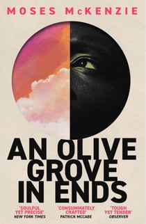 An Olive Grove in Ends - The dazzling debut novel about love, faith and community, by an electrifying new voice