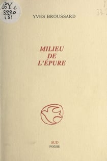 Milieu de l'épure
