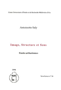 Image, structure et sens - Études arthuriennes