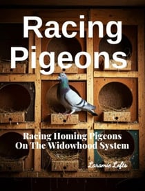 Racing Pigeons: Racing Homing Pigeons On The Widowhood System