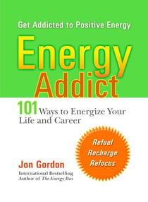 Energy Addict - 101 Physical, Mental, and Spiritual Ways to Energize Your Life