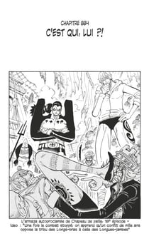 One Piece édition originale - Chapitre 884 - C'est qui, lui ?!