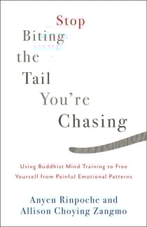 Stop Biting the Tail You're Chasing - Using Buddhist Mind Training to Free Yourself from Painful Emotional Patterns