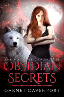 Obsidian Secrets - The Mac Tire Chronicles, #4