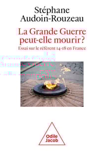 La Grande Guerre peut-elle mourir ? - Essai sur le référent 14-18 en France