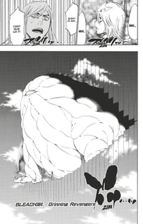Bleach - T42 - Chapitre 364 - Grinning Revengers