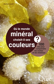 Où le monde minéral choisit-il ses couleurs ? - 100 clés pour comprendre roches et minéraux