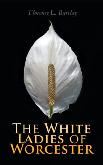 The White Ladies of Worcester - Historical Romance