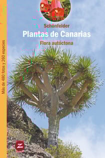 Plantas de Canarias - Flora autóctona