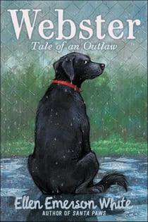 Webster - Tale of an Outlaw
