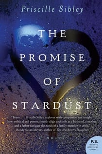 The Promise of Stardust - A Novel
